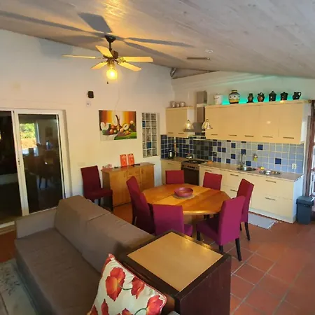 Oceanfront - 8 Rooms, 2 Kitchens With Pool, Billiard Table And Beach-volleyball Court * Carvoeiro (Lagoa)